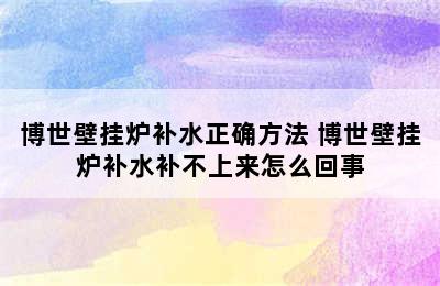 博世壁挂炉补水正确方法 博世壁挂炉补水补不上来怎么回事